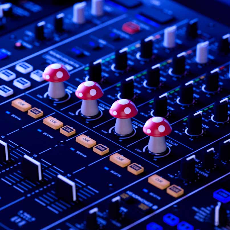 4-Pack Mushroom Knob